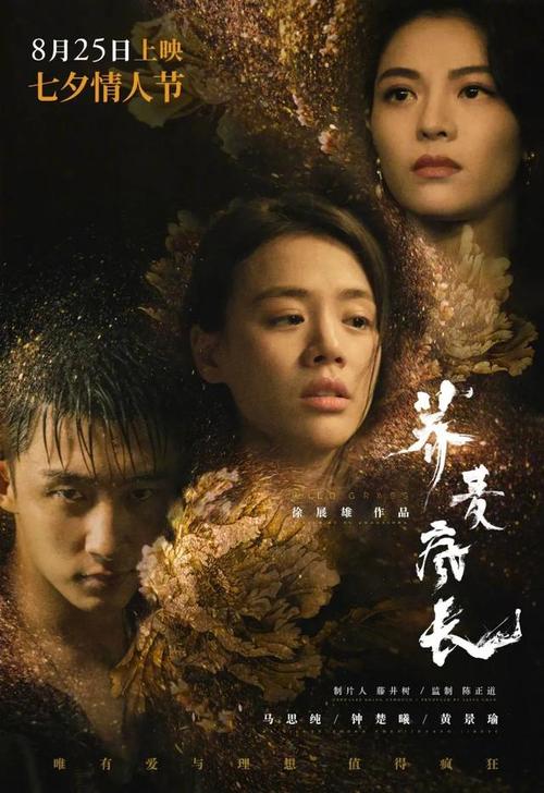 南达科他大学金融文凭证书